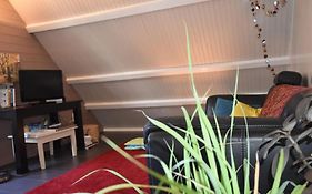 Le Strelitzia 1