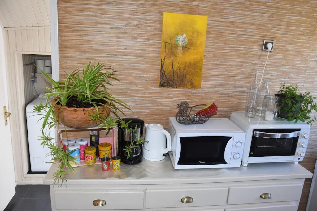 Appartement Le Strelitzia 1 à Cilaos Extérieur photo