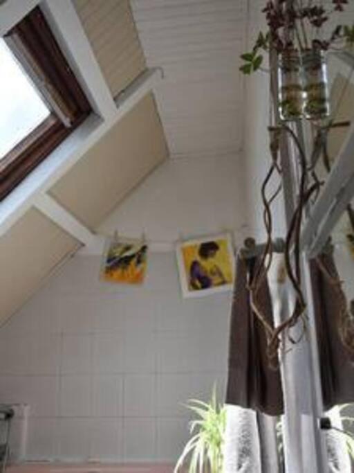 Appartement Le Strelitzia 1 à Cilaos Extérieur photo